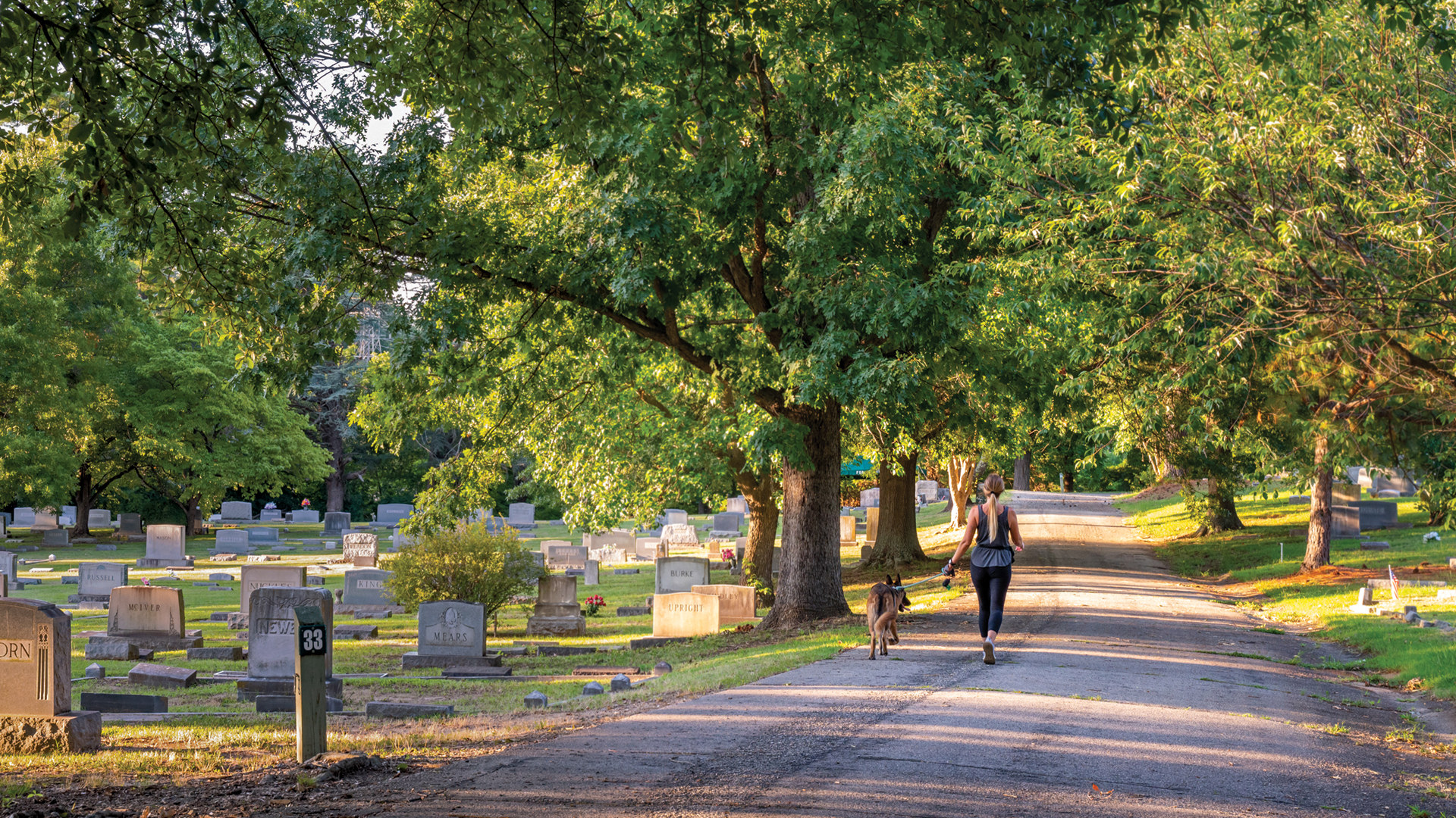 Featured Image for The UNCG ties to gorgeous Green Hill