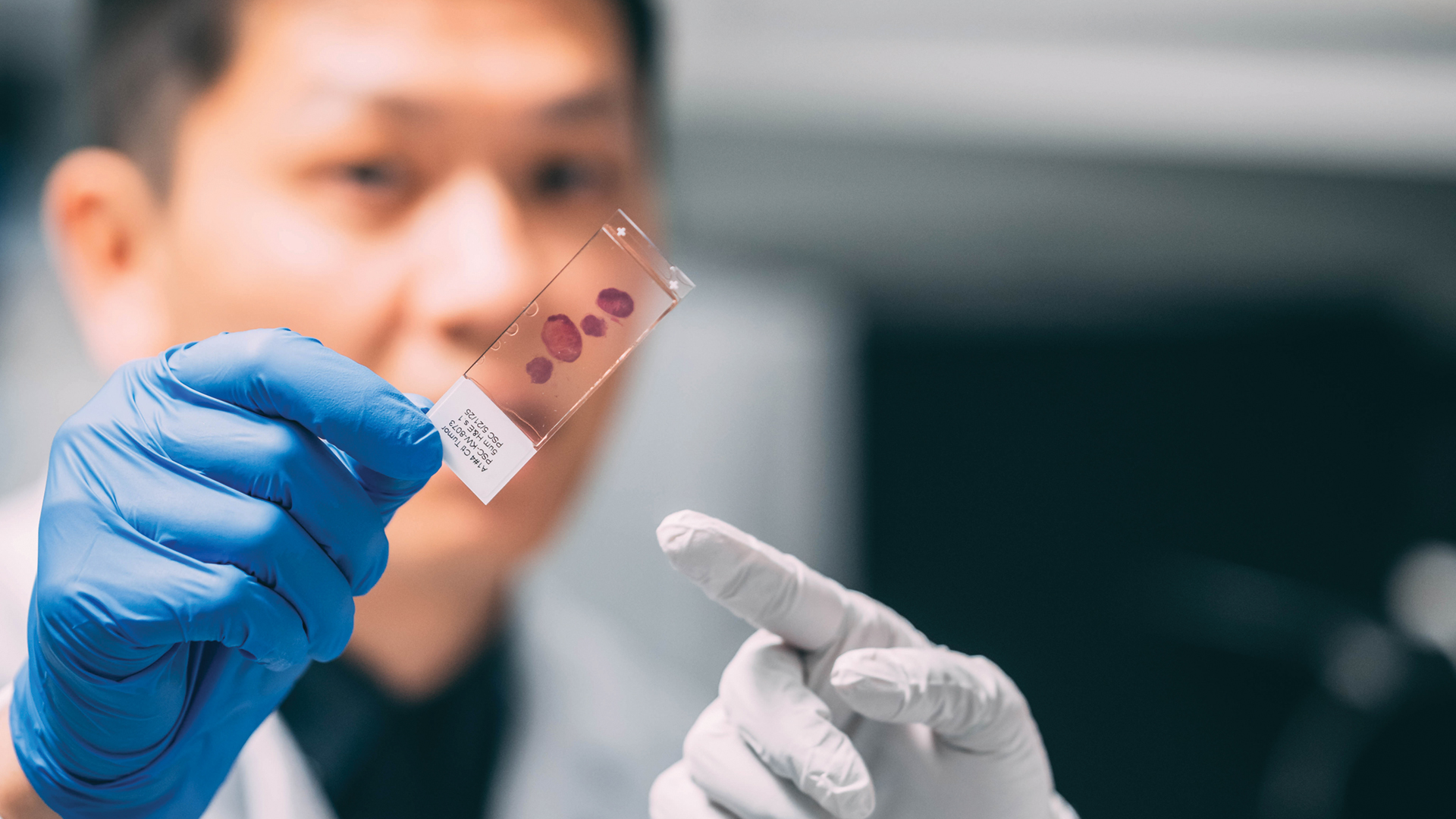 UNCG research for inflammation relief